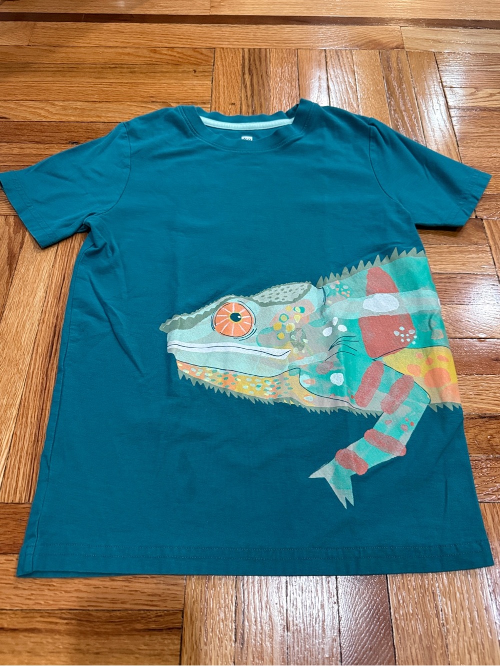 Tea Collection Teal Kids T-Shirt with Colorful Chameleon Graphic size 10